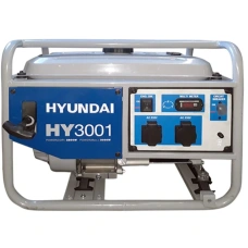 Image Generator pe benzină Hyundai HY3001