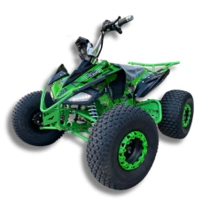 Image ATV electric Andes Speedy 2000 W
