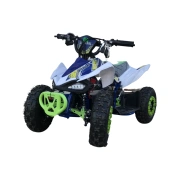 Image ATV pe benzină electric Gherakl 1000 W(white)