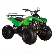 Image Бензиновый квадроцикл Forte 110cc