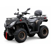 Image ATV pe benzină Rato 250
