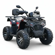 Image ATV pe benzină Activator Viper 200
