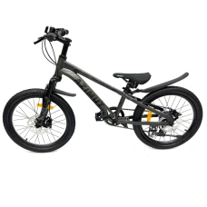 Image Bicicletă pentru copii Azimut WLN82 20
