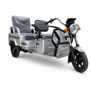 Image Tricicletă electrică cu trei roți electric cu trei roți New One FH980 Gray