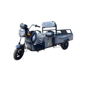 Image Tricicletă electrică cu trei roți New One C17 Grey