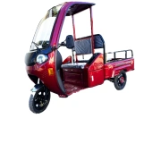 Image Электрический трицикл New One FY120