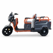 Image Tricicletă electrică cu trei roți New One LL01