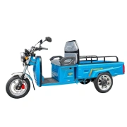 Image Tricicletă electrică cu trei roți cu remorcă Gherakl 2000 W