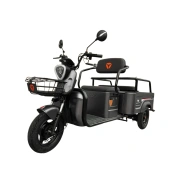 Image Tricicletă electrică cu trei roți cu remorcă Yadea F110B Black