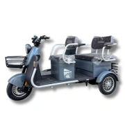 Image Tricicletă electrică cu trei roți Gherakl 1500 Gray