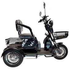 Image Tricicletă electrică cu trei roți TRONIX TR 1000W Black
