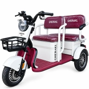 Image Tricicletă electrică cu trei roți cu trei roti electrica Gherakl TC 1500