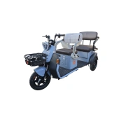 Image Tricicletă electrică cu trei roți Yadea C13E gray