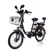 Image Bicicletă electrică Manlima T22