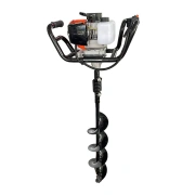 Image Motoburghiu 4 timpi Togo TG-D002