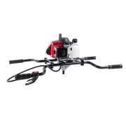 Image Motoburghiu P.I.T P51211