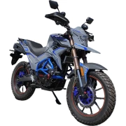 Image Motocicletă Gherakl H 300