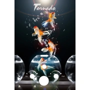Image Водный нагреватель газовая Tornado TR-20 Goldfish Turbo